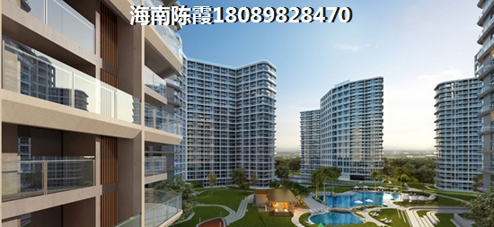 阳光海岸荷兰新城 两居  户型图